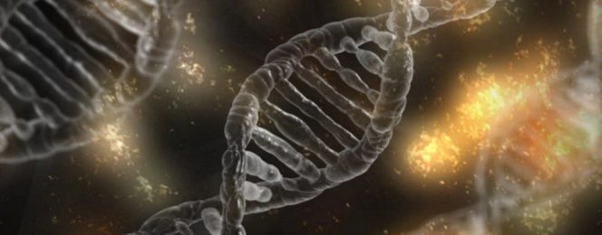 Origines Test ADN